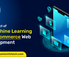 Web & eCommerce Development Services From Panoramic Infotech - 1