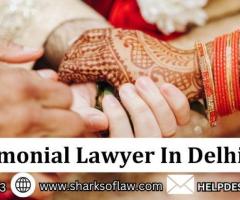 Best Matrimonial Lawyer In Delhi - 1