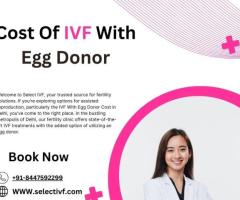 Cost Of IVF With Egg  Donor - 1