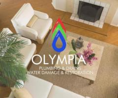 Trusted Water Damage Solutions in Chula Vista CA | Olympia Services
