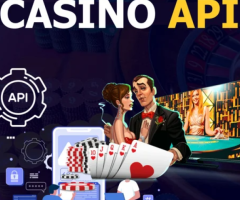 Casino Game Development Company With BR Softech