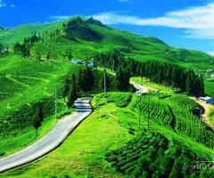 Discover the Enchanting Beauty of Sikkim: Tailored Tour Packages by Wandeorn