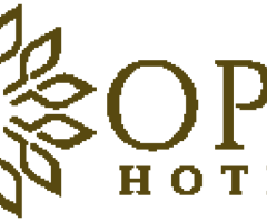 Hotel Near Indira Gandhi International Airport - Opo Hotel