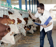 Revolutionizing Dairy Farming with Efficient Parlor Management