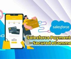 FEXLE: Your Salesforce Integration Company for Robust Payment Gateways