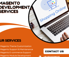 Custom Magento Development Services | Store Transform - 1
