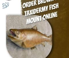 Order Brown Trout Taxidermy Fish Mount Online - Creeltaxidermy