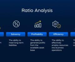 Top Ratio Analysis Service Provider 2024! Veritas Accounting