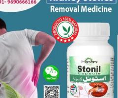 Stonil Natural Treatment for Kidney Stones