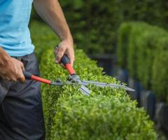 Reliable Gardening Services in Manchester – Your Garden, Our Care!