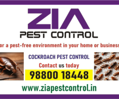 Cockroach  pest control service price starts from just Rs. 700