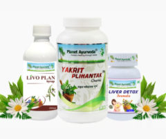 Ayurvedic Herbal Medicine For Fatty Liver
