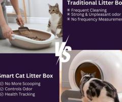 Effective Litter Box Cleaning Hacks for People Who Dread Daily Chores