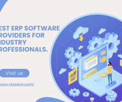 Best ERP Software Providers for Industry Professionals.