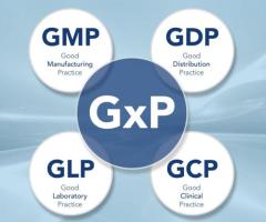 GXP Auditing Services | GXP risk assessment | Riverark UK