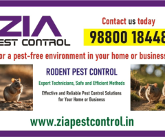 Zia Pest Control Service | Appartments | pre-school | get rid of Rodent  | 1771