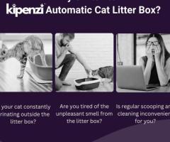 6 Game-Changing Benefits of an Automatic Litter Box for Pet Owners