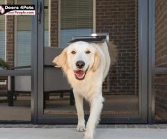 Large Dog Door for Big Breeds - Safe and Secure