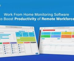 Ensure Productivity Anywhere with DeskTrack's WFH Tool