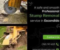 Tree Stump Removal Service in Escondido