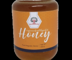 The Golden Harvest: Exploring the Sweet Symphony of Organic Honey"