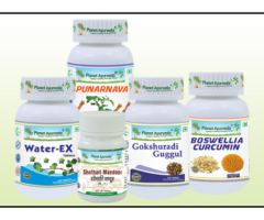 Anasarca Care Pack - Herbal Remedies for Anasarca