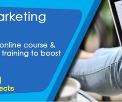 Why Choose Our Master in Digital Marketing Course?