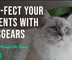 PURR-FECT YOUR MOMENTS WITH TOMSGEARS