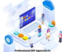 Professional ERP Agencies in Indore: Top Picks