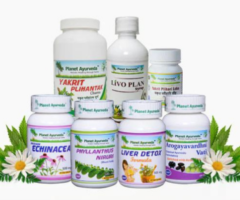 Natural Herbal Medicine For Liver Disease - Liver Care Pack(Double Strength)