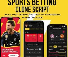Plurance's sports betting clone script - For great success