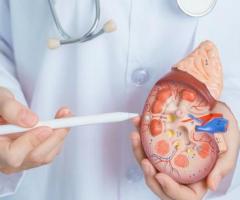Comprehensive Care for Your Health Kidney Stone Treatment in Bangalore