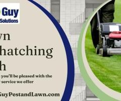 Lawn Dethatching Services in Utah by My Guy Pest and Lawn