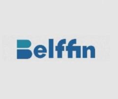 belffin-Comfortable pull-out sleeper sofa