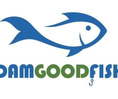 fish-dam good fish