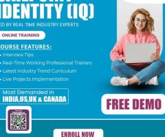 Sailpoint Identity IQ Training | Sailpoint Identity IQ Course Online
