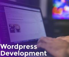 Custom Wordpress Development Services - 1