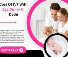 Cost Of IVF With Egg Donor In Delhi