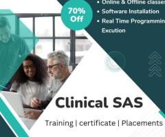 Clinical sas training