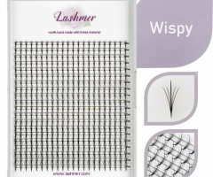 Lashmer: Your Destination for Perfect Wispy Lashes