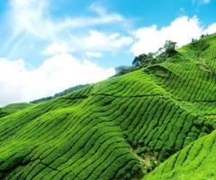 Discover Kerala's Enchanting Beauty with Fly High Holiday