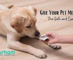 The Advantages Of Chewable Medicines For Your Pets