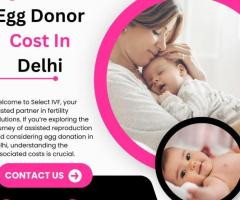 Egg Donor Cost In Delhi