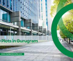 Buy SCO Plots in Gurugram – Royal Green Realty