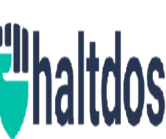 Protect Your DNS with Haltdos DDoS Protection!