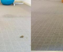Carpet cleaning Adelaide