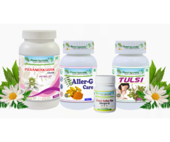 Asthma Care Pack - Herbal Treatment and Support for Respiratory Health