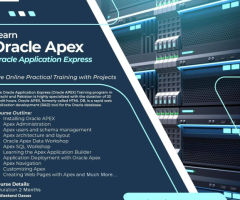 Oracle Apex Training offered by 3D Educators