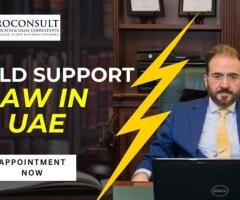 Expert Child Support Law Services in UAE