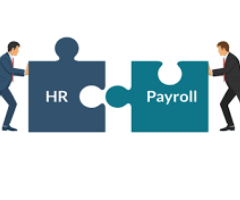 HR & Payroll Services